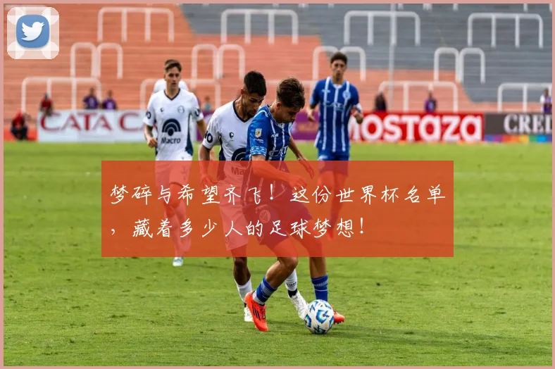 梦碎与希望齐飞！这份世界杯名单，藏着多少人的足球梦想！
