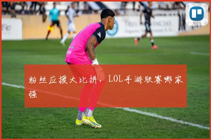 粉丝应援大比拼，LOL手游联赛哪家强